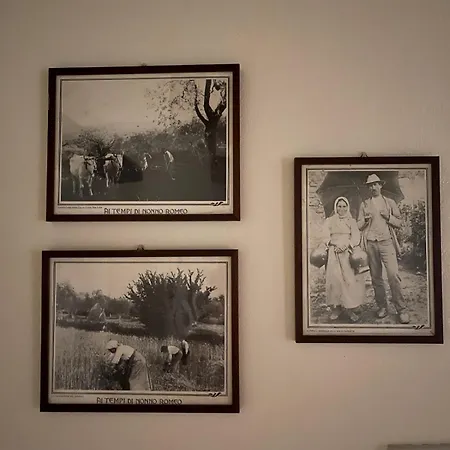 アパート Il Mazzafrusto アレッツォ